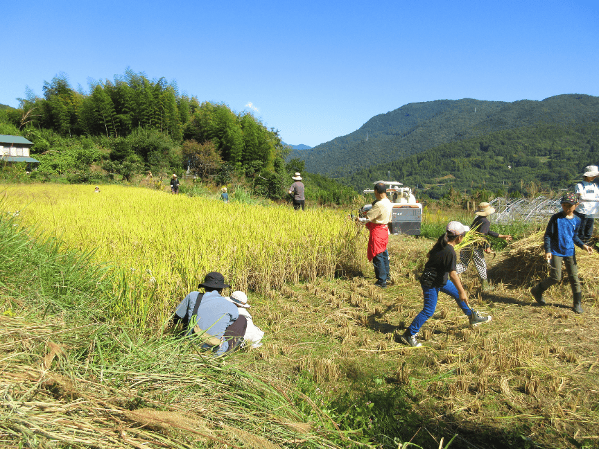 田んぼのいきものたんけんたい①